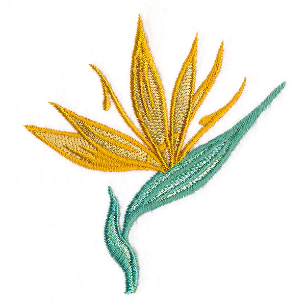 Tropical Blooms - Bird of Paradise