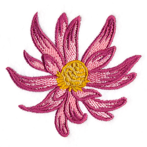 Tropical Blooms - Conebush