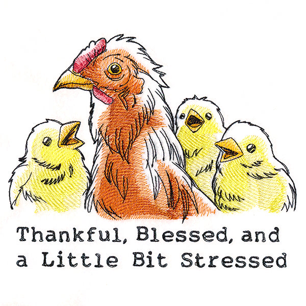 Thankful, Blessed, and a Little Bit Stressed Chickens
