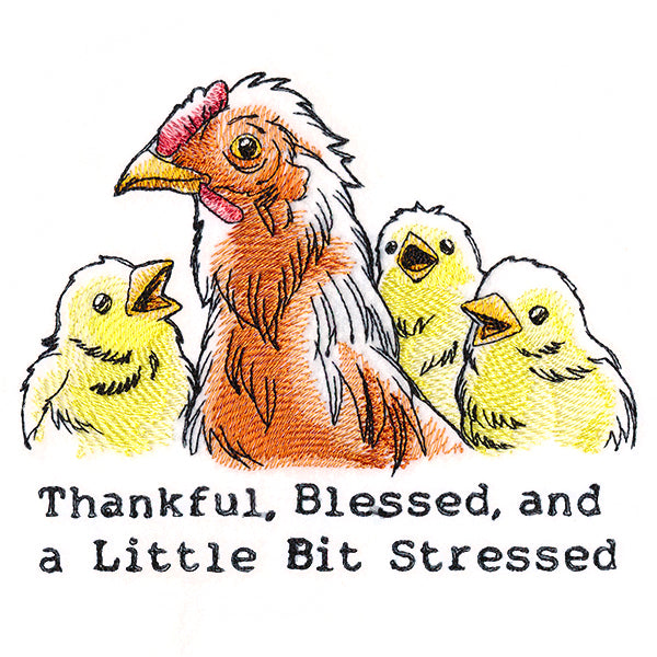Thankful, Blessed, and a Little Bit Stressed Chickens