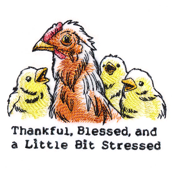 Thankful, Blessed, and a Little Bit Stressed Chickens