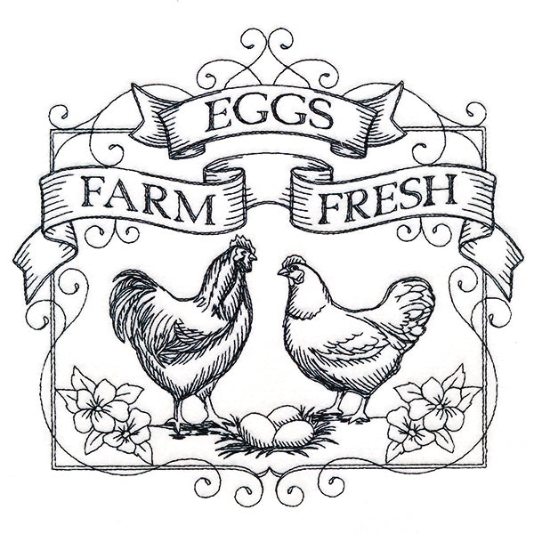 Fancy Farm Fresh Eggs