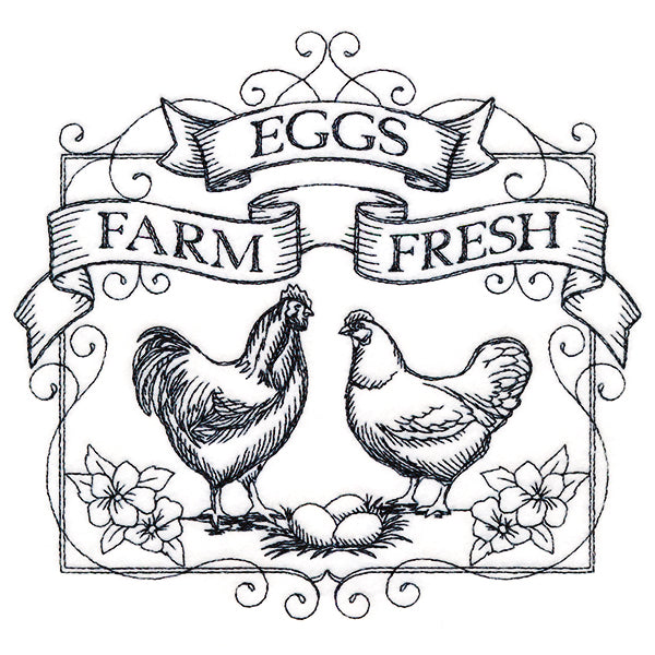 Fancy Farm Fresh Eggs
