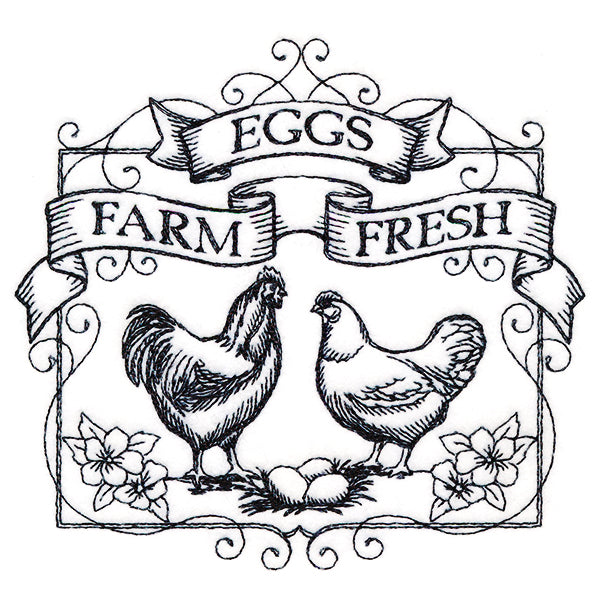 Fancy Farm Fresh Eggs