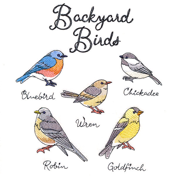 Backyard Birds