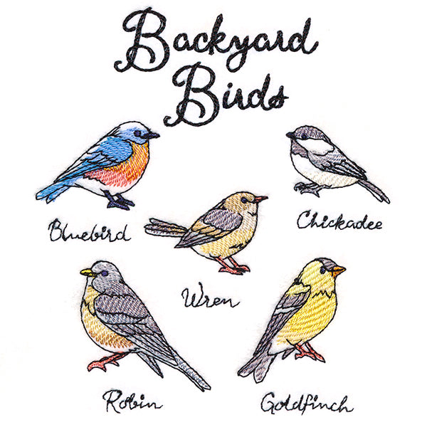 Backyard Birds
