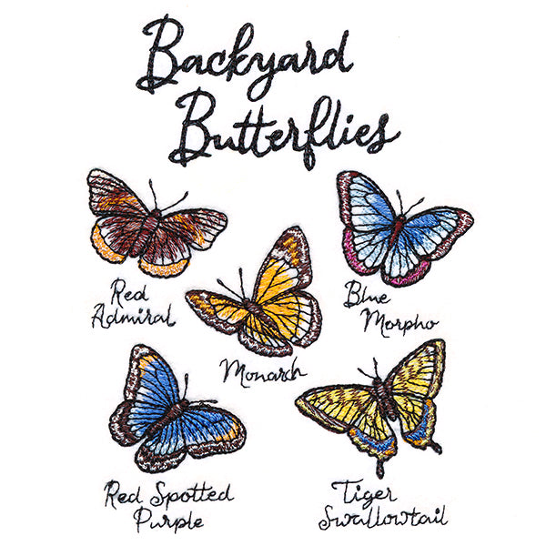 Backyard Butterflies