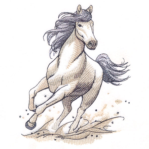 Running Wild Stallion