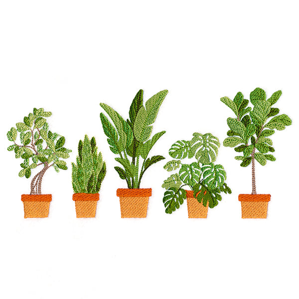 Houseplant Heaven Border