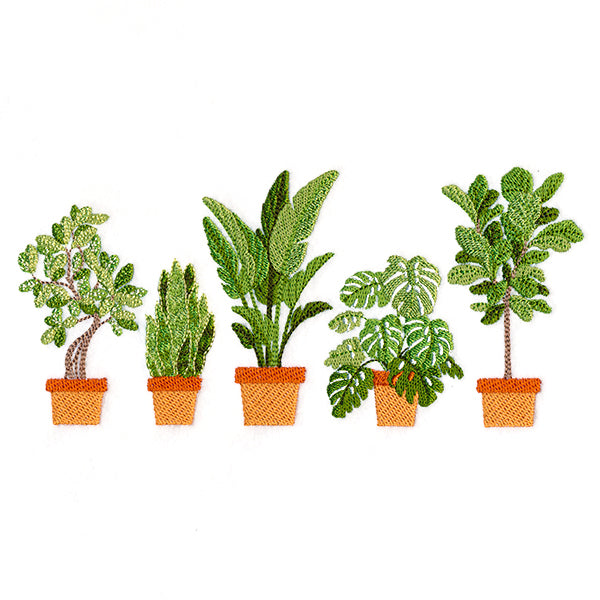 Houseplant Heaven Border