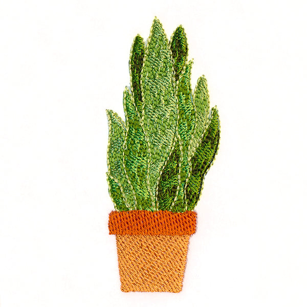 Houseplant Heaven - Sansevieria