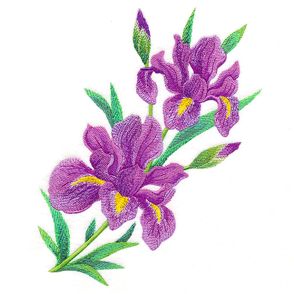 Splendid Iris Bouquet