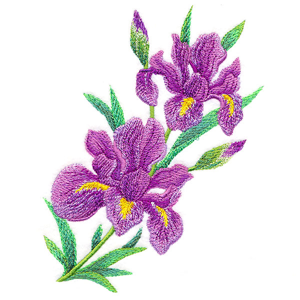 Splendid Iris Bouquet