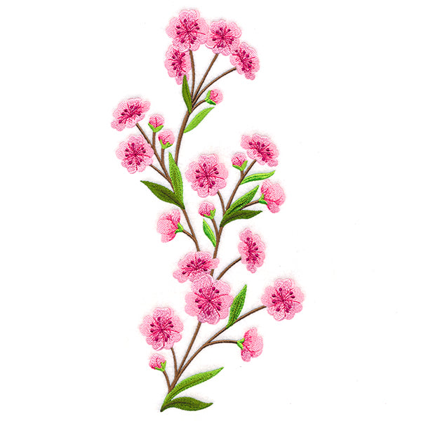 Graceful Cherry Blossoms - Tall