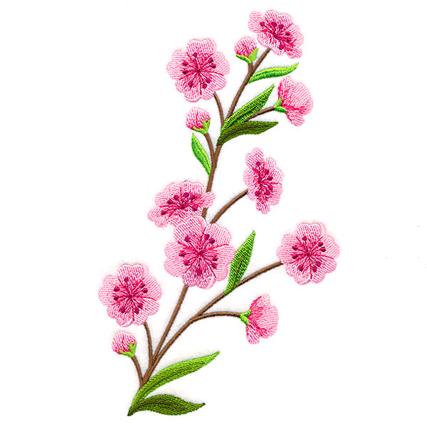 Graceful Cherry Blossoms - Medium