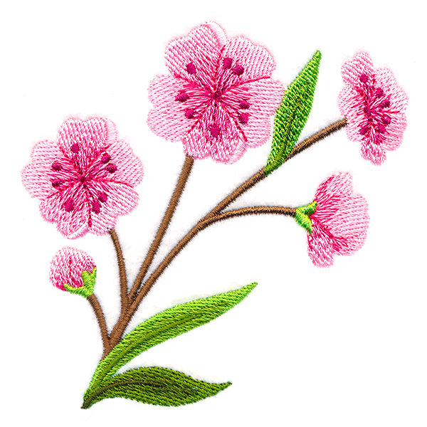 Graceful Cherry Blossoms - Short