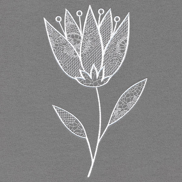 Elegant Beauty Flower