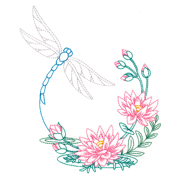 Water Lily Blooms Dragonfly