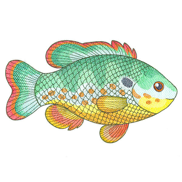 Charming Northwoods Fish