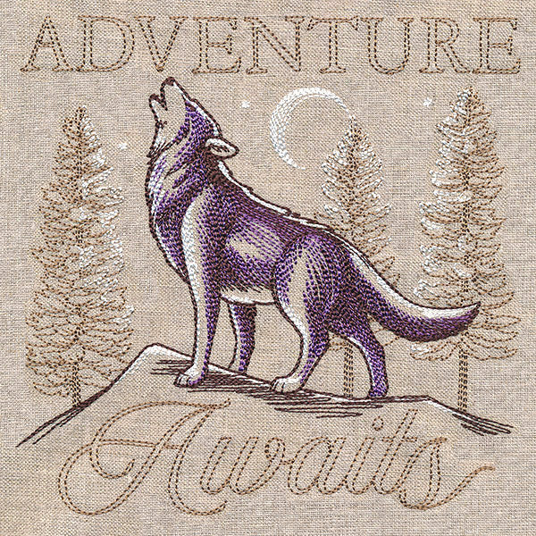 Adventure Awaits Medley