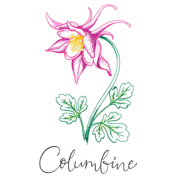 Wild Blooms - Columbine