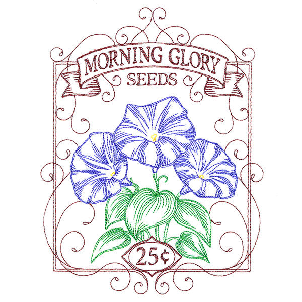 Morning Glory Seed Packet