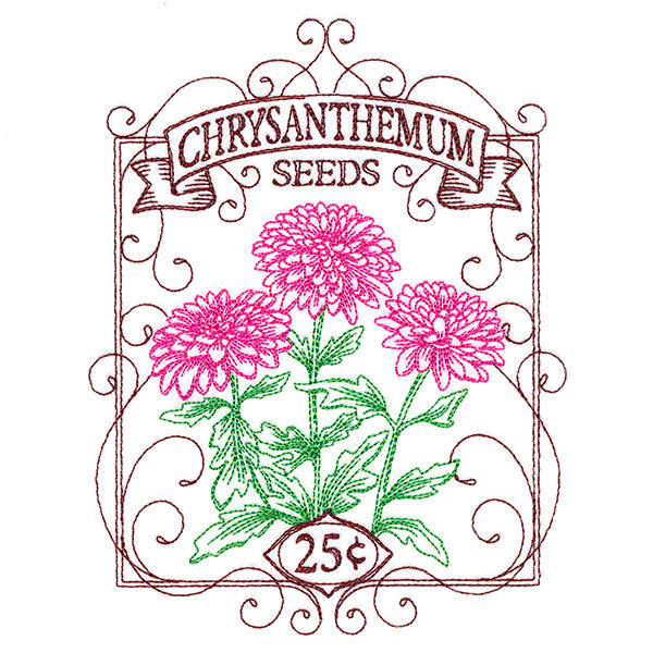 Chrysanthemum Seed Packet