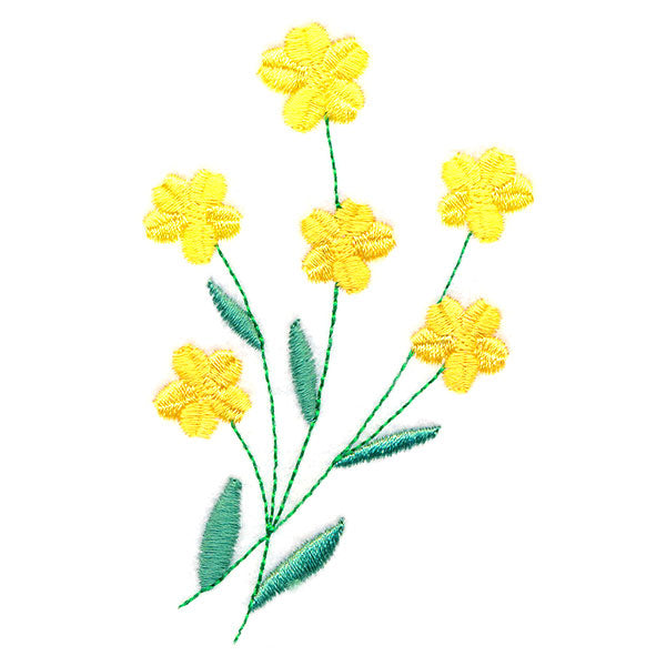 Summer Delights Accent