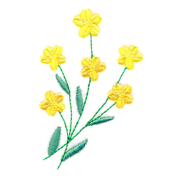 Summer Delights Accent