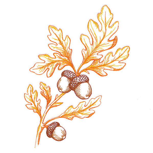 Wild Oak Leaf Bouquet