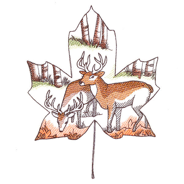 Autumn Woodland Deer Scene