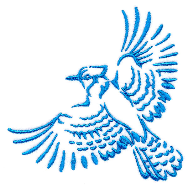 Soaring Blue Jay in Flight