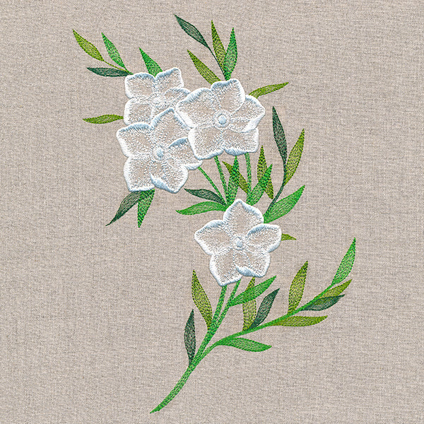 Sheer Dainty Bouquet