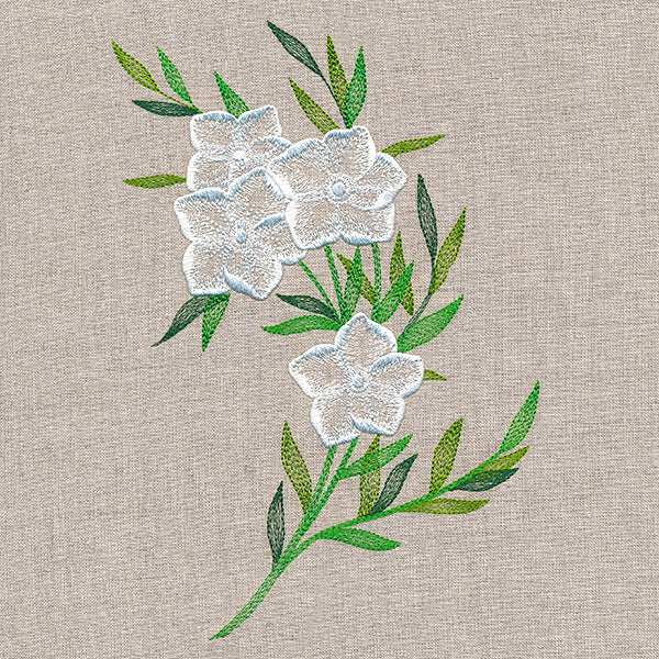 Sheer Dainty Bouquet