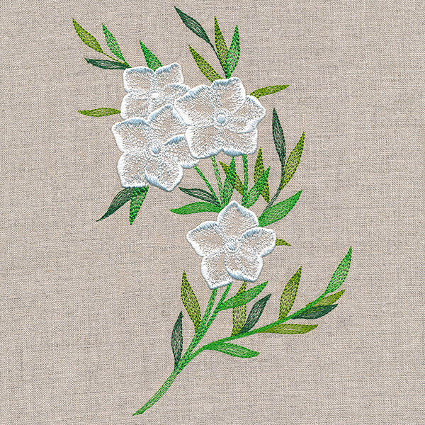 Sheer Dainty Bouquet