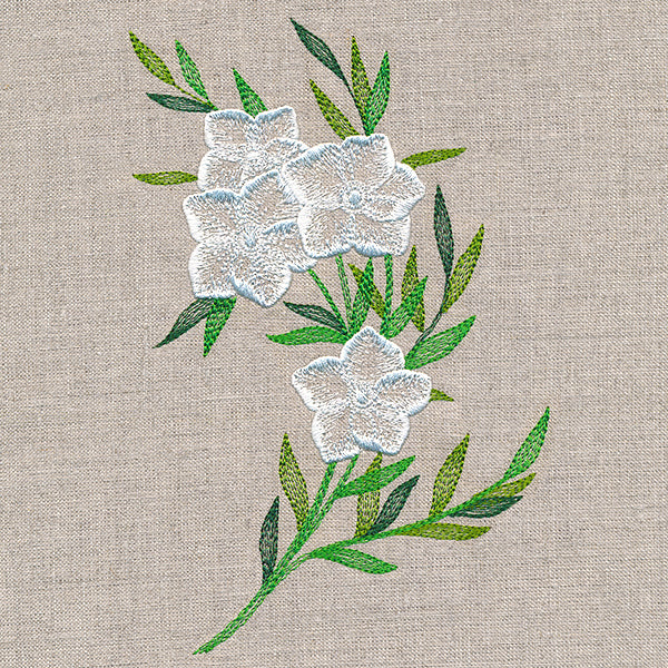 Sheer Dainty Bouquet