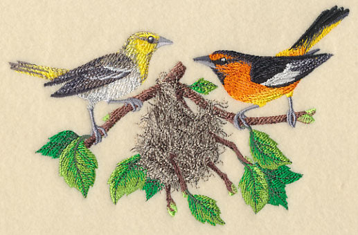 Bullock's Orioles and Nest