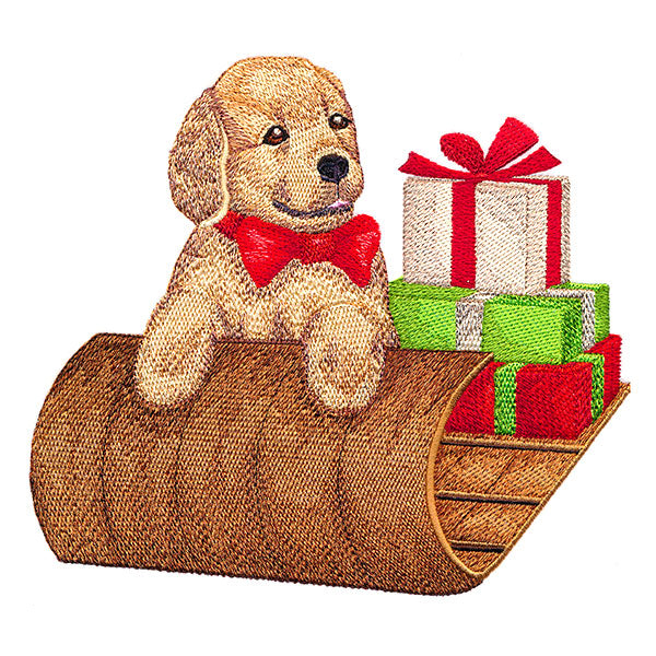 Precious Sledding Puppy