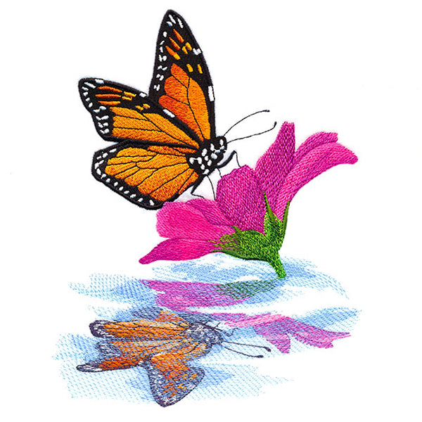 Sweet Fluttering Reflections