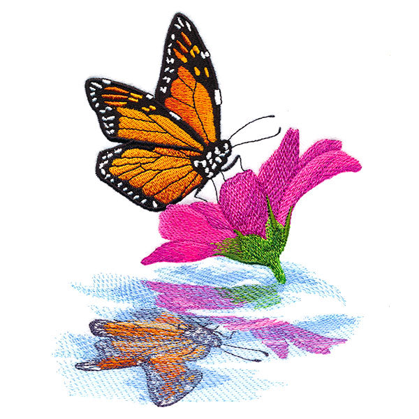 Sweet Fluttering Reflections