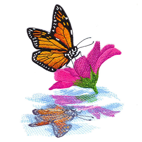 Sweet Fluttering Reflections