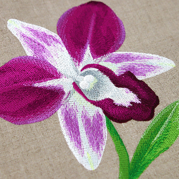 Sweet Purple Orchid