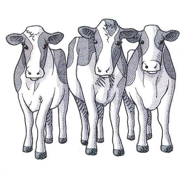 Cow Trio - Front