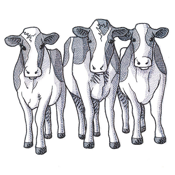 Cow Trio - Front