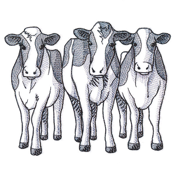 Cow Trio - Front