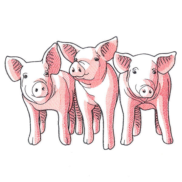 Pig Trio - Front