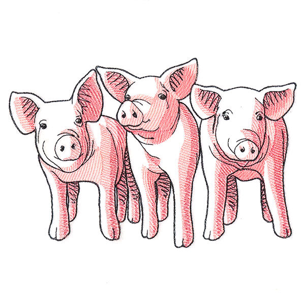 Pig Trio - Front