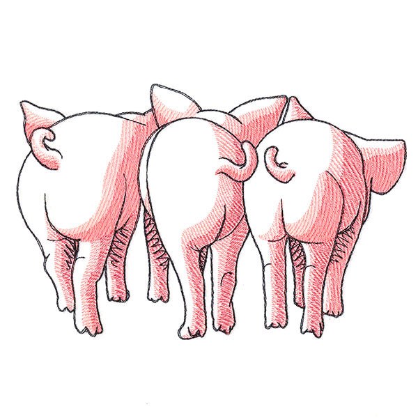 Pig Trio - Back