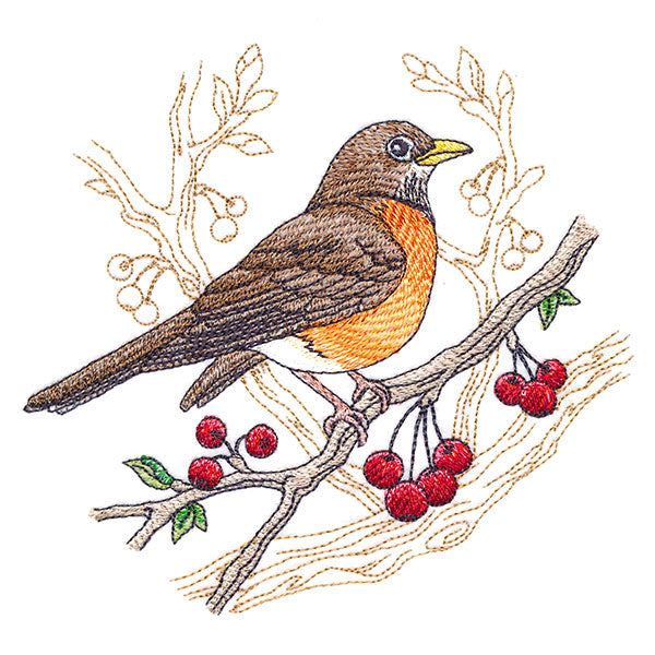 Radiant Robin Medley