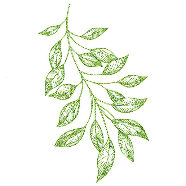 Branching Leaves Etching